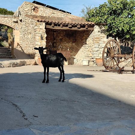 Agroturismo Sa Duaia Artá Екстериор снимка